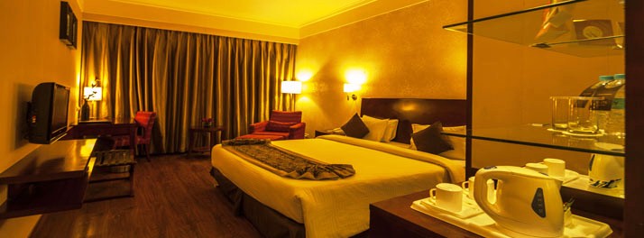 1039/Vesta Maurya Palace - Jaipur 11.jpg